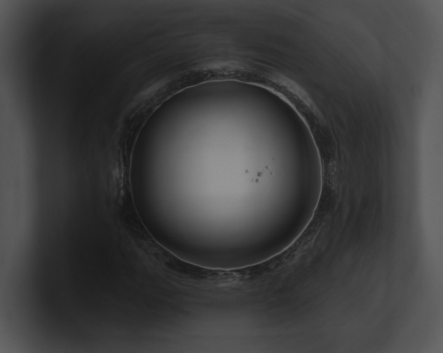 X0000100891111200806241226