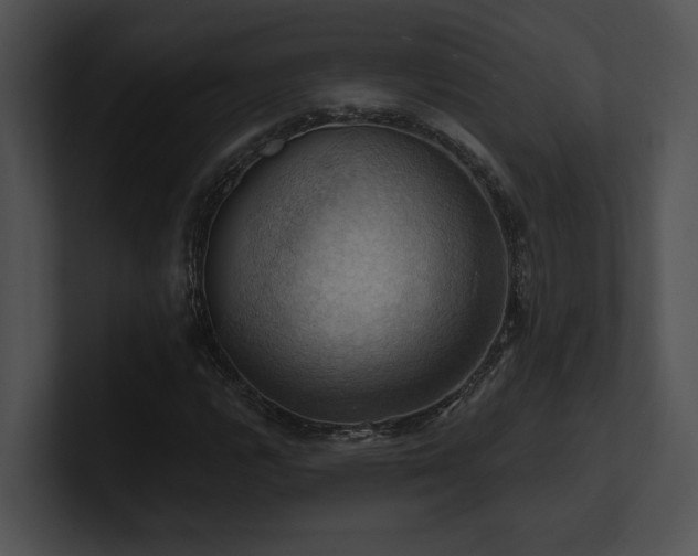 X0000100891112200806241226