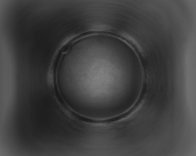 X0000100891114200806241226