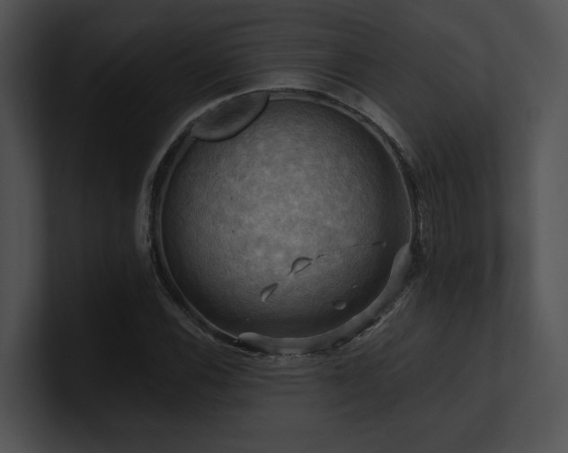 X0000100891116200806241226