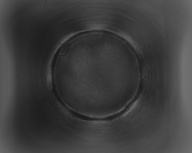 X0000100891118200806241226