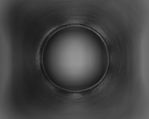 X0000100891119200806241226