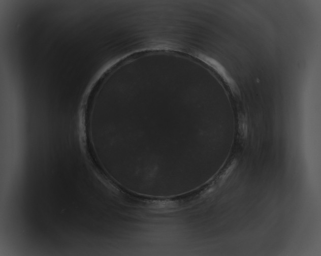 X0000100891120200806241226