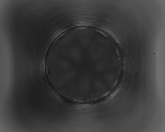 X0000100891121200806241226