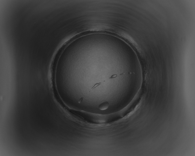 X0000100891122200806241226