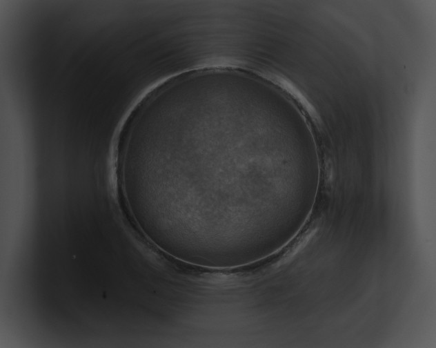 X0000100891124200806241226