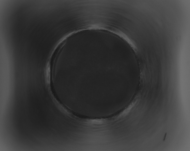 X0000100891126200806241226