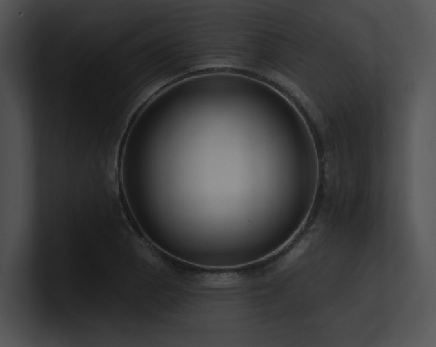 X0000100891129200806241226