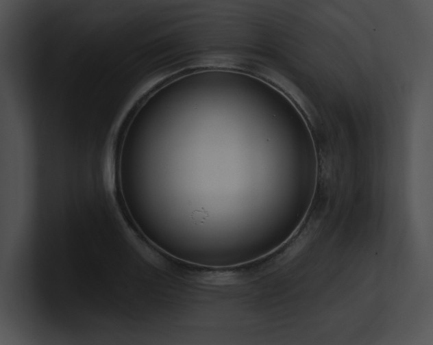 X0000100891131200806241226