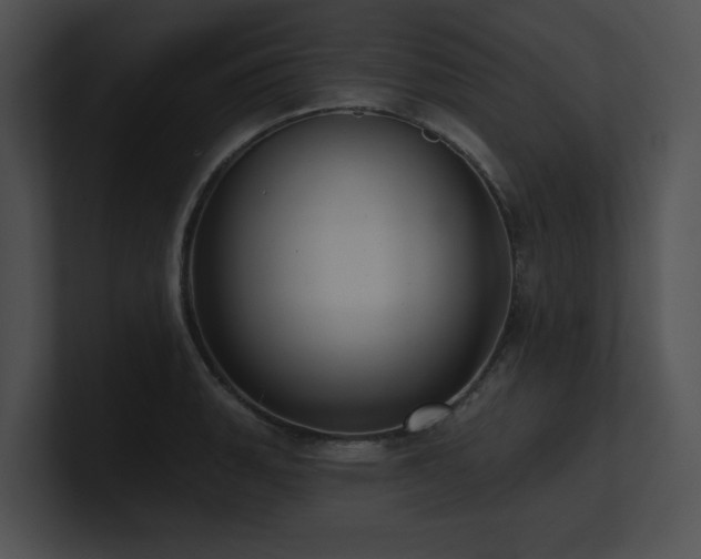 X0000100891135200806241226
