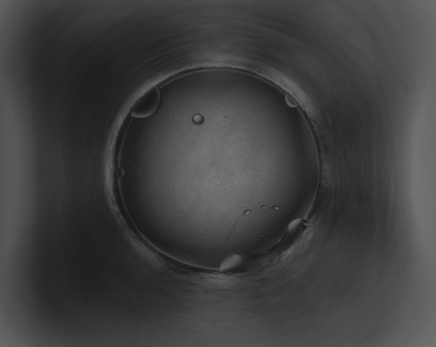 X0000100891136200806241226