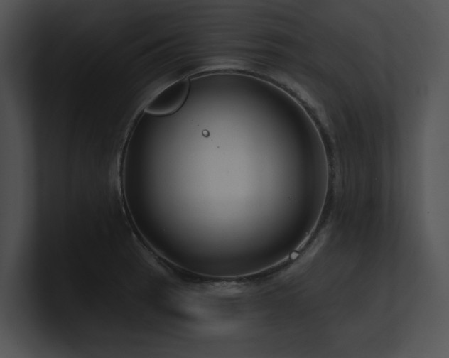 X0000100891137200806241226