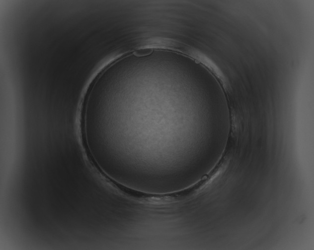 X0000100891138200806241226