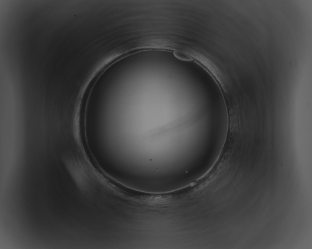 X0000100891139200806241226