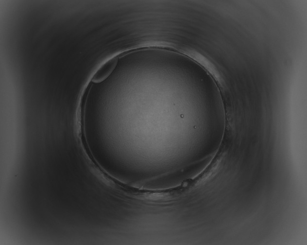 X0000100891140200806241226