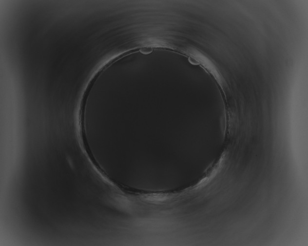 X0000100891141200806241226