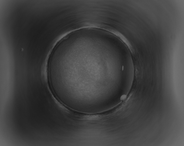 X0000100891143200806241226