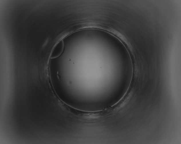 X0000100891145200806241226
