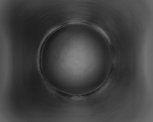 X0000100891146200806241226