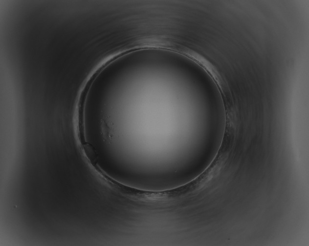 X0000100891147200806241226