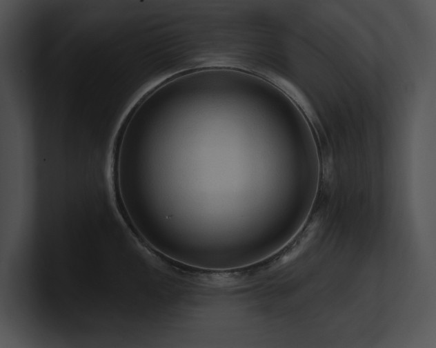 X0000100891149200806241226