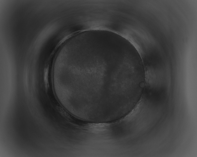 X0000100891150200806241226