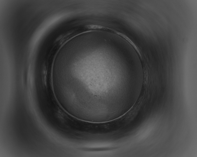 X0000100891151200806241226