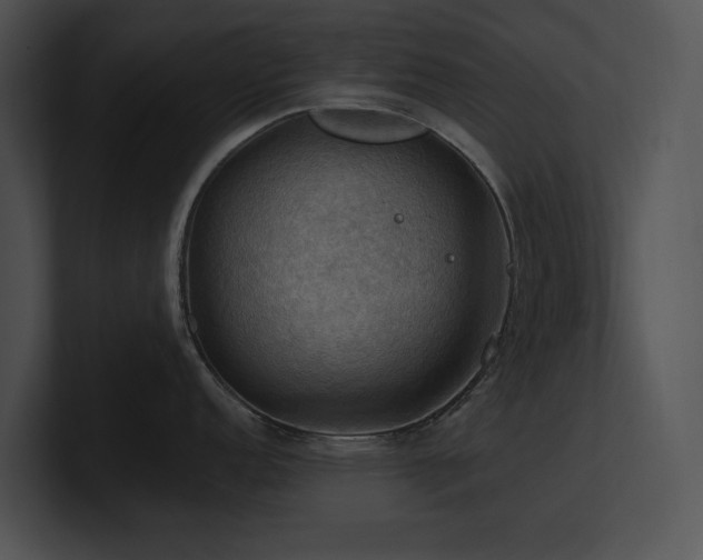X0000100891152200806241226