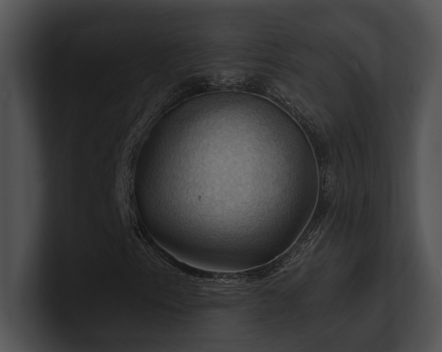 X0000100891153200806241225