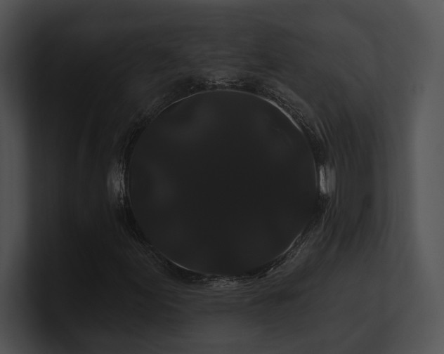 X0000100891155200806241225