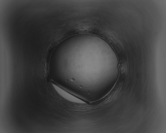X0000100891156200806241225