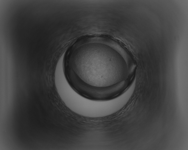 X0000100891157200806241225