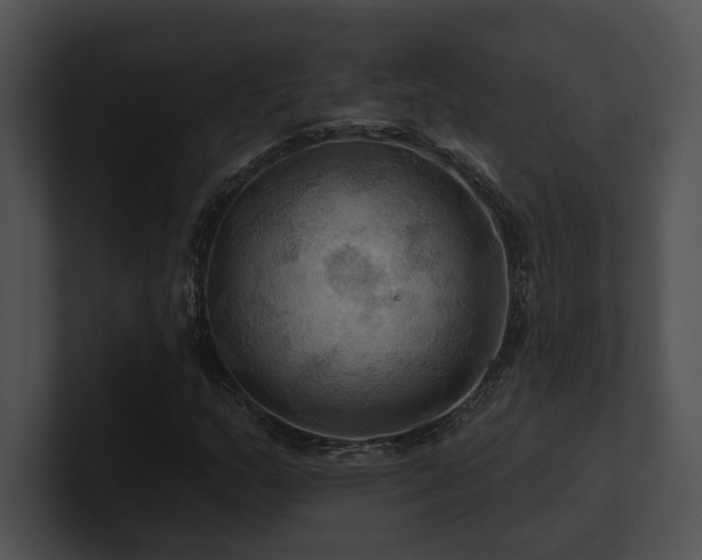 X0000100891159200806241225