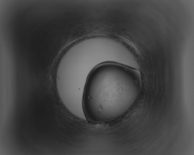 X0000100891160200806241225
