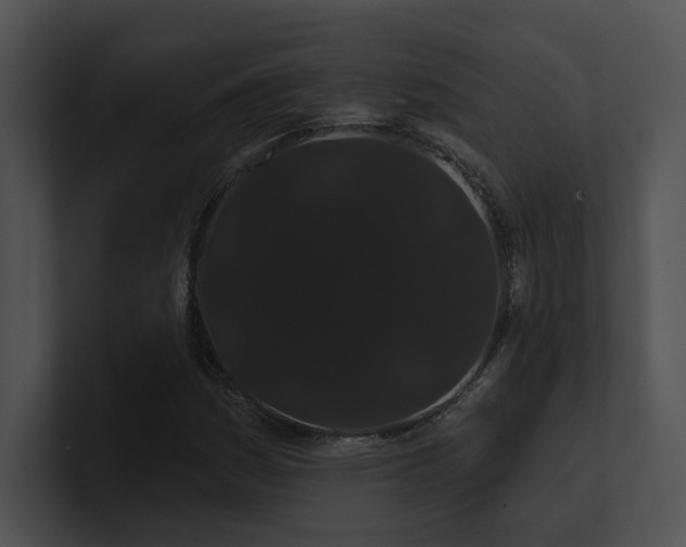 X0000100891161200806241225