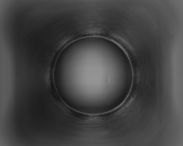 X0000100891162200806241225