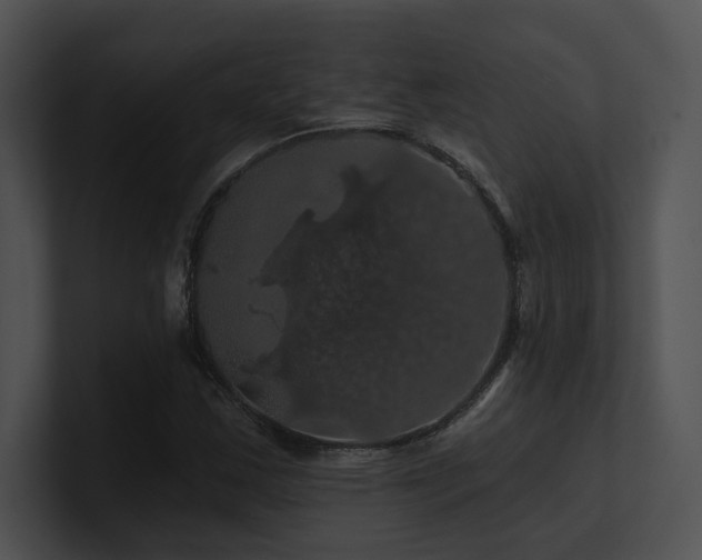 X0000100891163200806241225