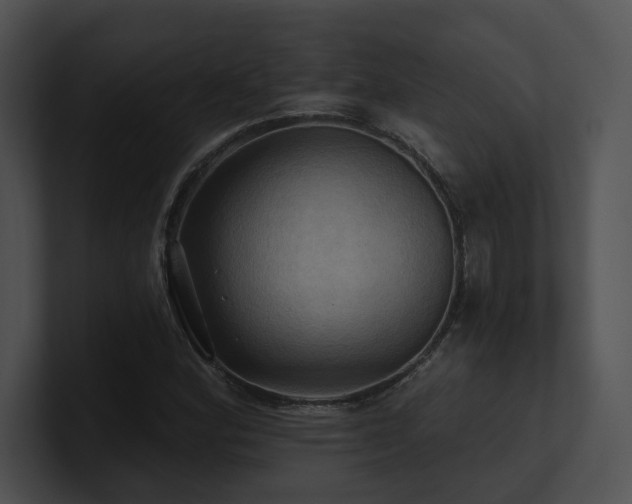 X0000100891164200806241225