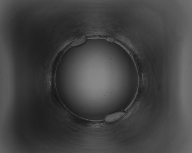 X0000100891165200806241225