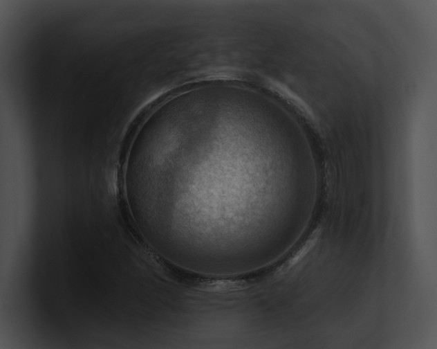 X0000100891166200806241225