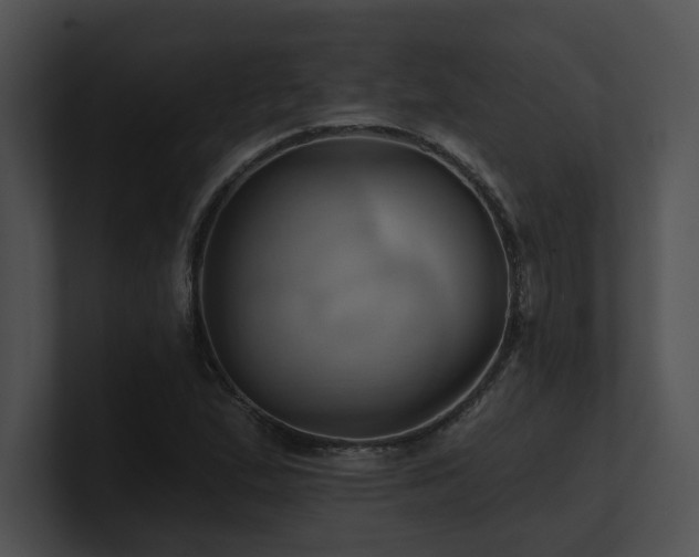 X0000100891167200806241225