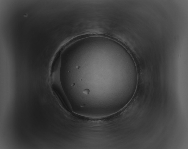 X0000100891168200806241225