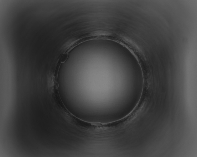 X0000100891169200806241225
