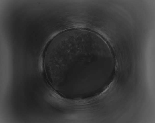 X0000100891171200806241225