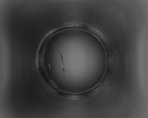 X0000100891172200806241225