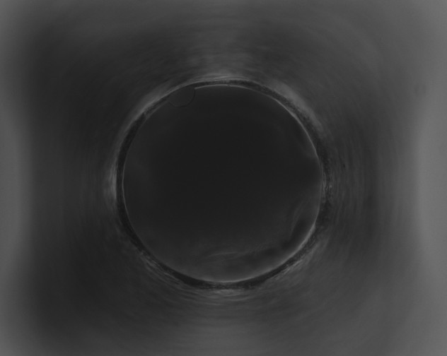 X0000100891173200806241225