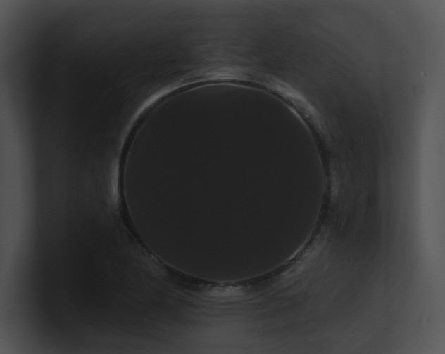 X0000100891174200806241225