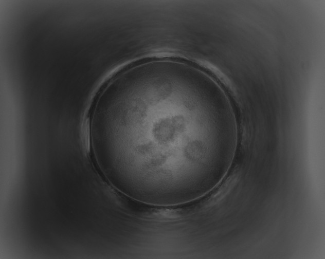 X0000100891175200806241225