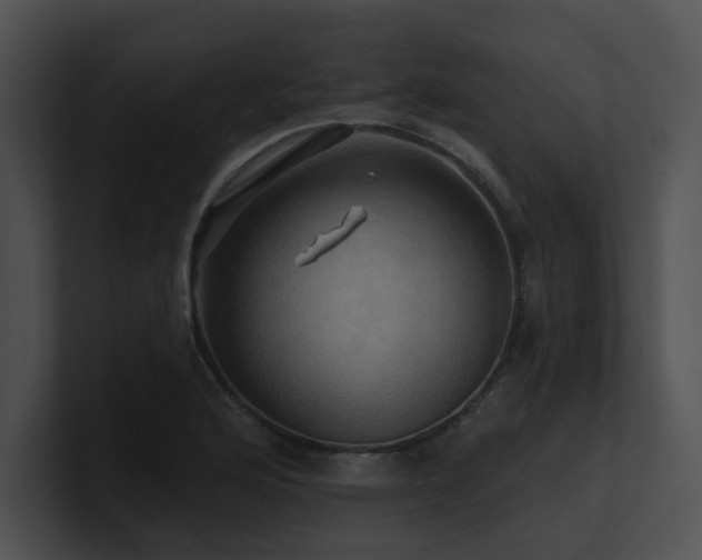 X0000100891176200806241225