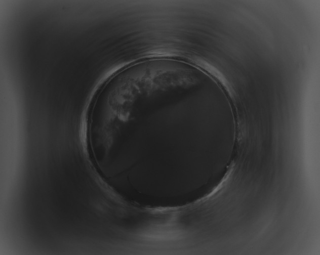 X0000100891179200806241225